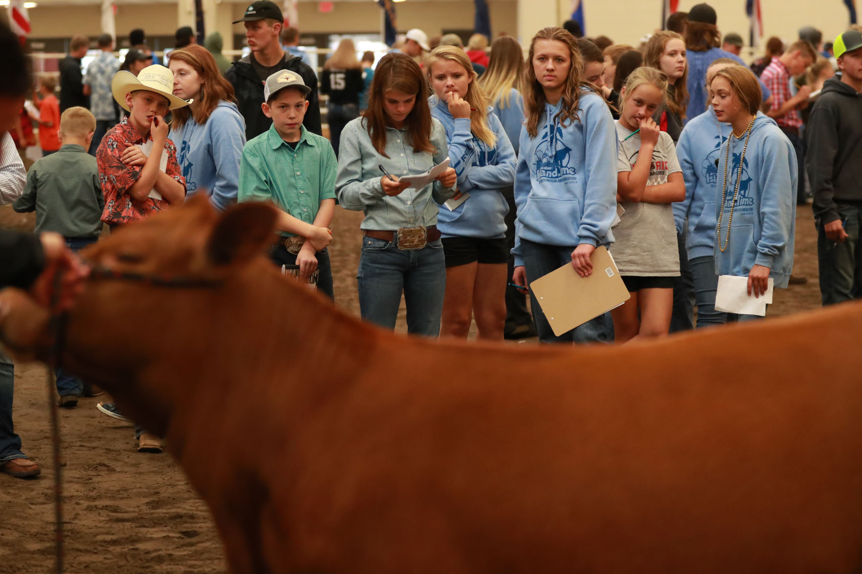 061819_RedAngusJudging18_bjs.JPG